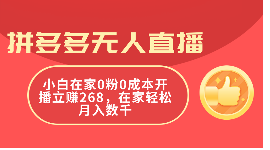 （11521期）拼多多无人直播，小白在家0粉0成本开播立赚268，在家轻松月入数千-万三聊项目