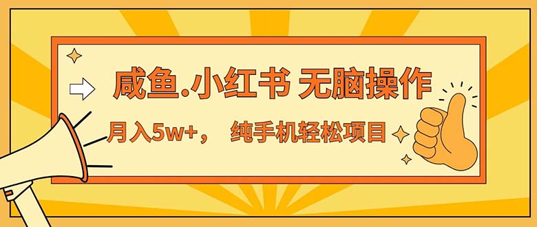 （11524期）2024最赚钱的项目，咸鱼，小红书无脑操作，每单利润500+，轻松月入5万+…-万三聊项目