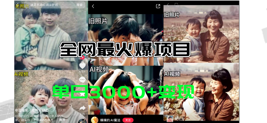 （11546期）全网爆火的AI让老照片动起来教程，蹭热点日赚3000+，内含免费工具一键…-万三聊项目