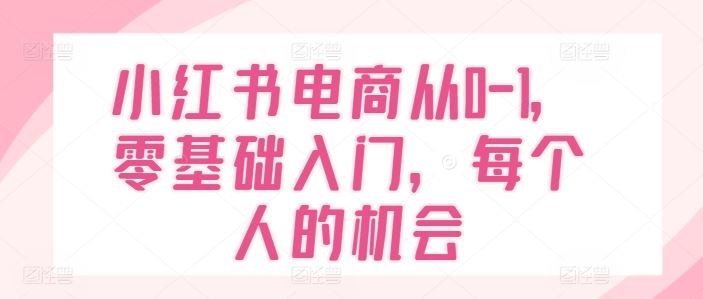 小红书电商从0-1，零基础入门，每个人的机会-万三聊项目
