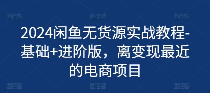 2024闲鱼无货源实战教程-基础+进阶版，离变现最近的电商项目-万三聊项目