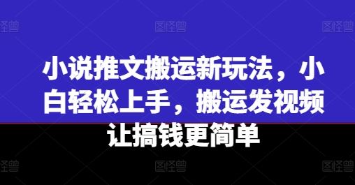 小说推文搬运新玩法，小白轻松上手，搬运发视频让搞钱更简单-万三聊项目