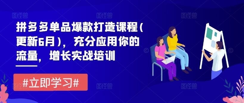 拼多多单品爆款打造课程(更新6月)，充分应用你的流量，增长实战培训-万三聊项目