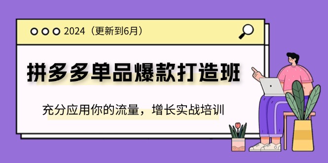 （11556期）2024拼多多-单品爆款打造班(更新6月)，充分应用你的流量，增长实战培训-万三聊项目