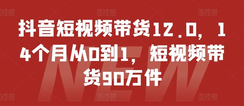抖音短视频带货12.0，14个月从0到1，短视频带货90万件-万三聊项目