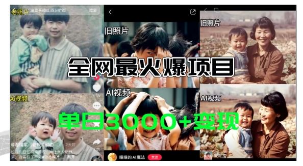全网爆火的AI让老照片动起来教程，蹭热点日赚3k+，内含免费工具一键可生成【揭秘】-万三聊项目