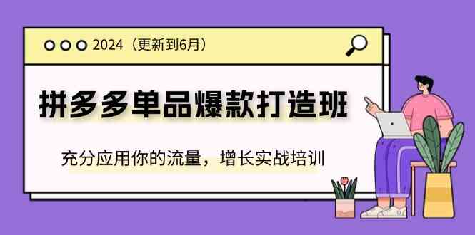 2024拼多多单品爆款打造班，充分应用你的流量，增长实战培训(更新6月)-万三聊项目