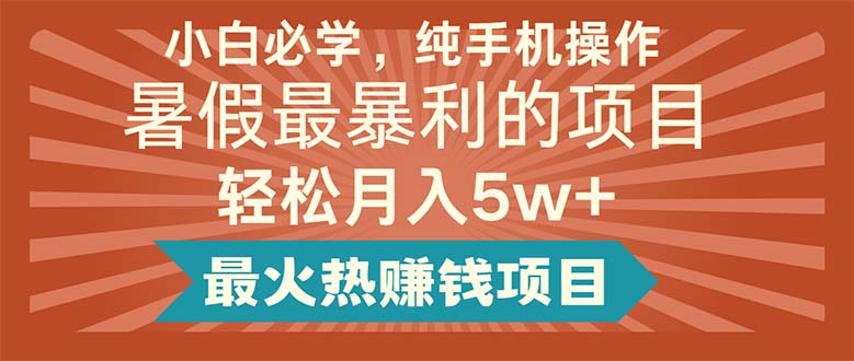 （11583期）小白必学，纯手机操作，暑假最暴利的项目轻松月入5w+最火热赚钱项目-万三聊项目