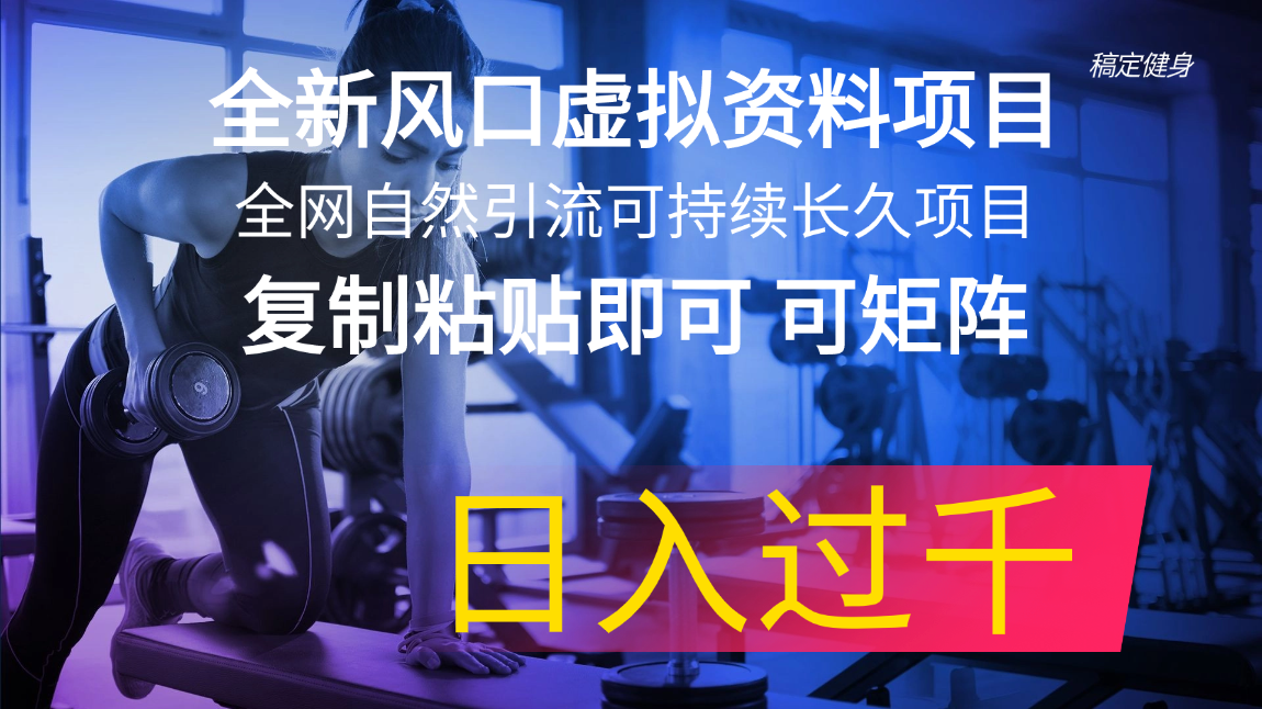 （11587期）全新风口虚拟资料项目 全网自然引流可持续长久项目 复制粘贴即可可矩阵…-万三聊项目