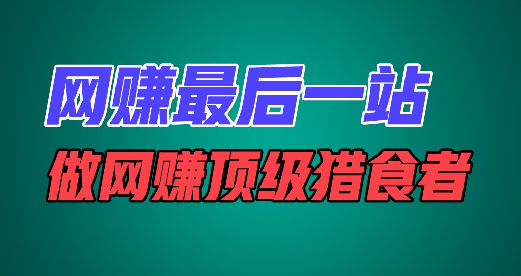 网赚最后一站，卖项目，做网赚顶级猎食者-万三聊项目