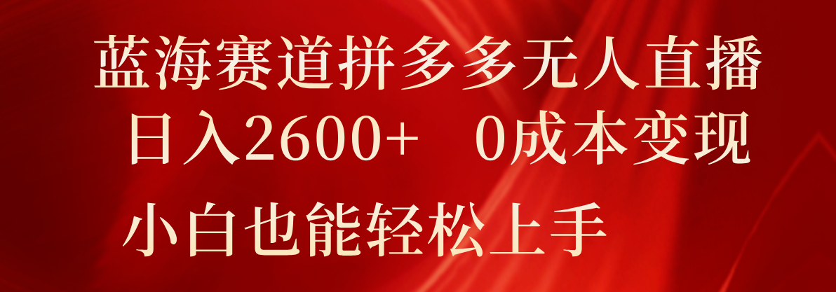蓝海赛道拼多多无人直播，日入2600+，0成本变现，小白也能轻松上手-万三聊项目