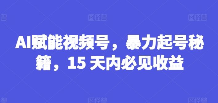 AI赋能视频号，暴力起号秘籍，15 天内必见收益【揭秘】-万三聊项目