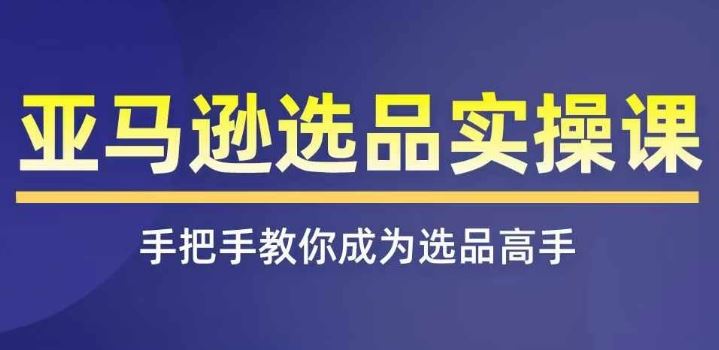 亚马逊选品实操课程，快速掌握亚马逊选品的技巧，覆盖亚马逊选品所有渠道-万三聊项目