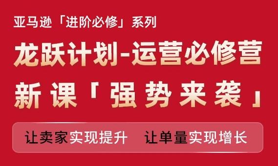 亚马逊进阶必修系列，龙跃计划-运营必修营新课，让卖家实现提升 让单量实现增长-万三聊项目