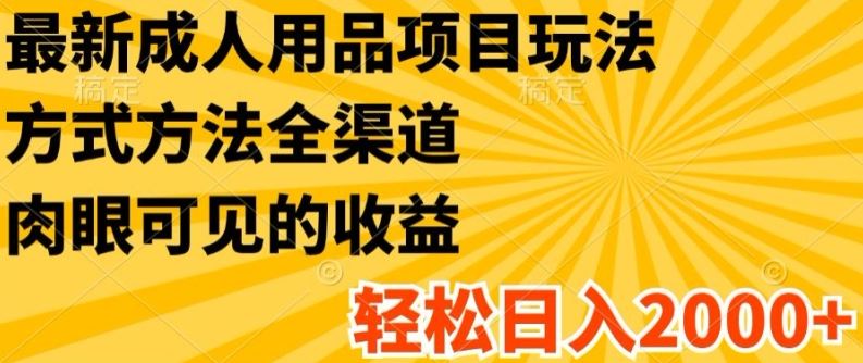 最新成人用品项目玩法，方式方法全渠道，轻松日入2K+【揭秘】-万三聊项目