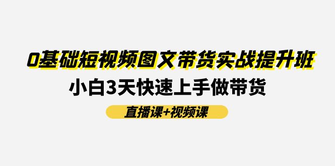 （11641期）0基础短视频图文带货实战提升班(直播课+视频课)：小白3天快速上手做带货-万三聊项目