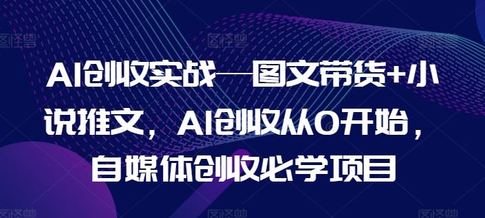 AI创收实战—图文带货+小说推文，AI创收从0开始，自媒体创收必学项目-万三聊项目