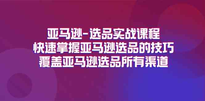 亚马逊选品实战课程，快速掌握亚马逊选品的技巧，覆盖亚马逊选品所有渠道-万三聊项目