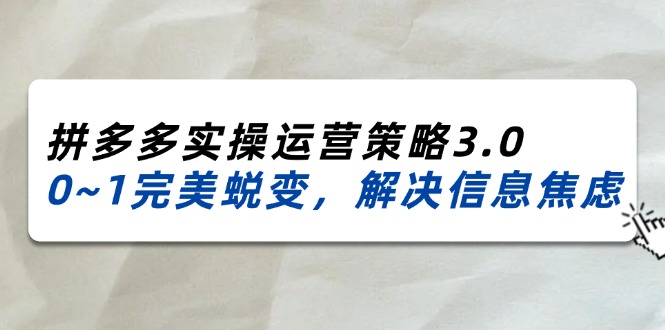 （11658期）2024_2025拼多多实操运营策略3.0，0~1完美蜕变，解决信息焦虑（38节）-万三聊项目