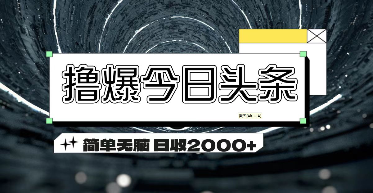 （11665期）撸爆今日头条 简单无脑操作 日收2000+-万三聊项目