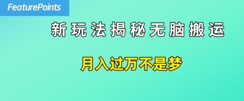 简单操作，每天50美元收入，搬运就是赚钱的秘诀【揭秘】-万三聊项目