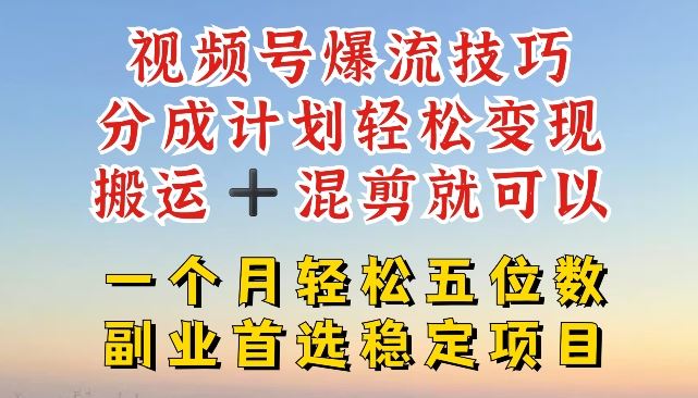 视频号爆流技巧，分成计划轻松变现，搬运 +混剪就可以，一个月轻松五位数稳定项目【揭秘】-万三聊项目