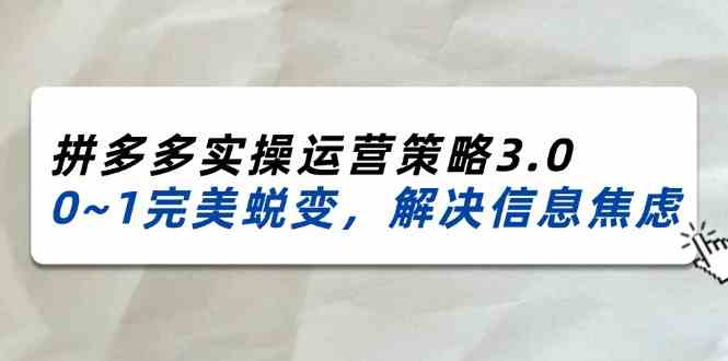 2024-2025拼多多实操运营策略3.0，0~1完美蜕变，解决信息焦虑（38节）-万三聊项目