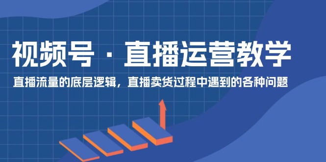 （11687期）视频号 直播运营教学：直播流量的底层逻辑，直播卖货过程中遇到的各种问题-万三聊项目