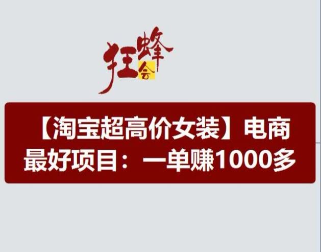 淘宝超高价女装项目，电商最好赛道，一单赚1000多-万三聊项目