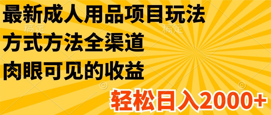 最新成人用品项目玩法，方式方法全渠道，肉眼可见的收益，轻松日入2000+-万三聊项目