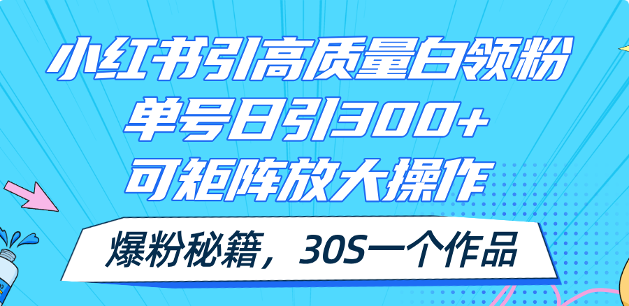 （11692期）小红书引高质量白领粉，单号日引300+，可放大操作，爆粉秘籍！30s一个作品-万三聊项目
