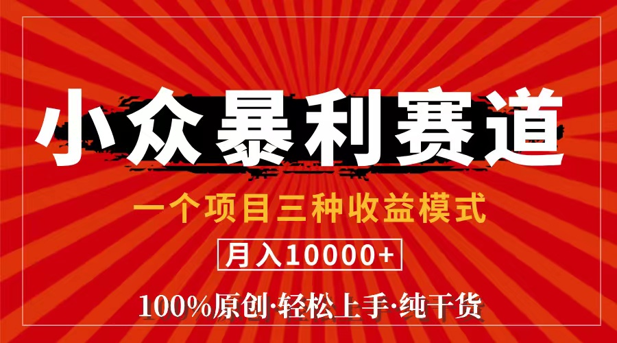 （11695期）视频号【中老年粉深信不疑】小众赛道 100%原创 手把手教学 新号3天收益…-万三聊项目