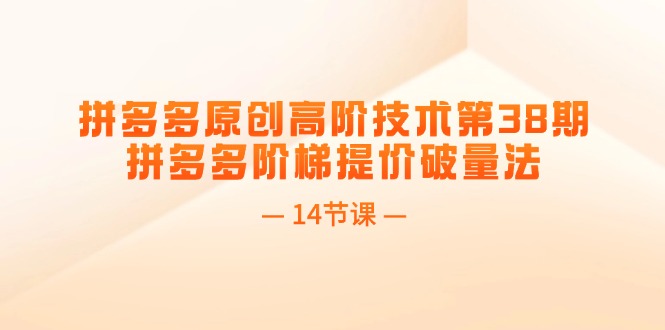 （11704期）拼多多原创高阶技术第38期，拼多多阶梯提价破量法（14节课）-万三聊项目