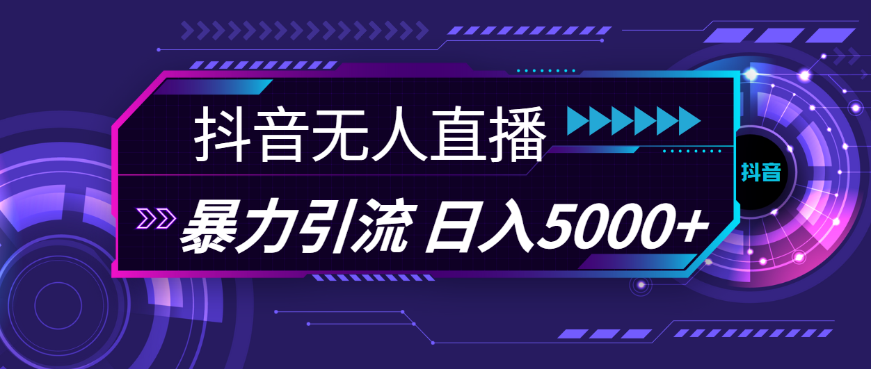 （11709期）抖音无人直播，暴利引流，日入5000+-万三聊项目