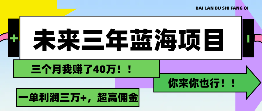 （11716期）未来三年，蓝海赛道，月入3万+-万三聊项目