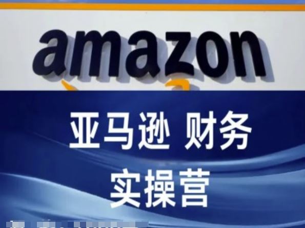 亚马逊财务核算实操营-亚马逊跨境电商教程-万三聊项目