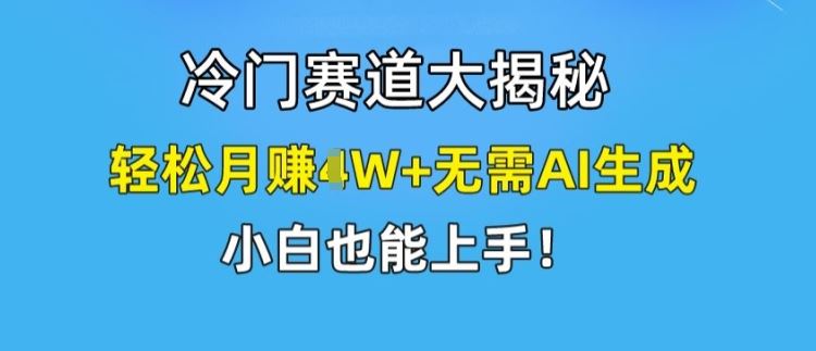 冷门赛道大揭秘，轻松月赚1W+无需AI生成，小白也能上手【揭秘】-万三聊项目