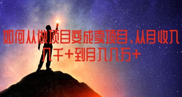 如何从做项目变成卖项目，从月收入几千到月入几万【揭秘】-万三聊项目
