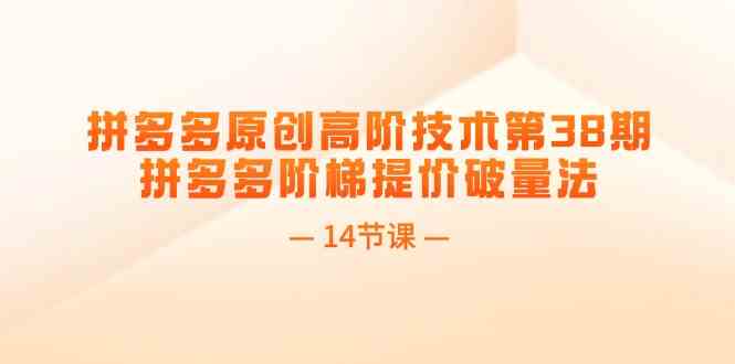 拼多多原创高阶技术第38期，拼多多阶梯提价破量法（14节课）-万三聊项目