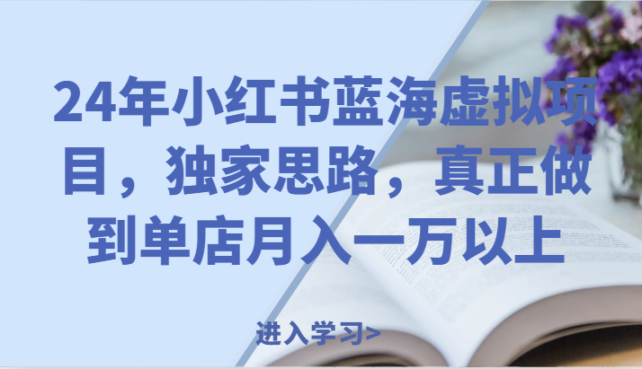 24年小红书蓝海虚拟项目，独家思路，真正做到单店月入一万以上。-万三聊项目