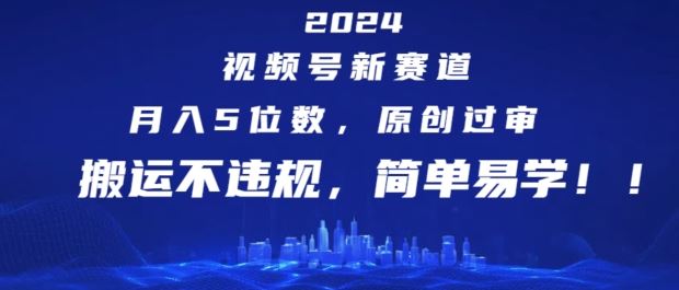 2024视频号新赛道，月入5位数+，原创过审，搬运不违规，简单易学【揭秘】-万三聊项目