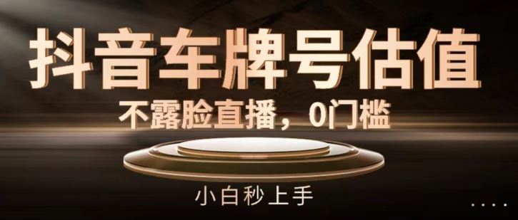 抖音车牌号估值，不露脸直播，0门槛，小白秒上手【揭秘】-万三聊项目