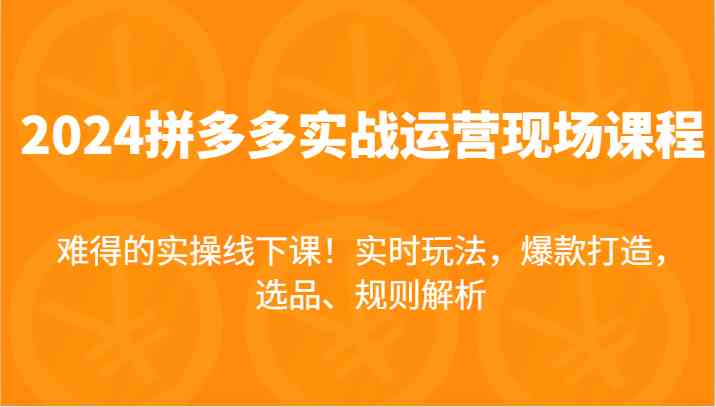 2024拼多多实战运营现场课，实时玩法，爆款打造，选品、规则解析，难得的实操线下课！-万三聊项目
