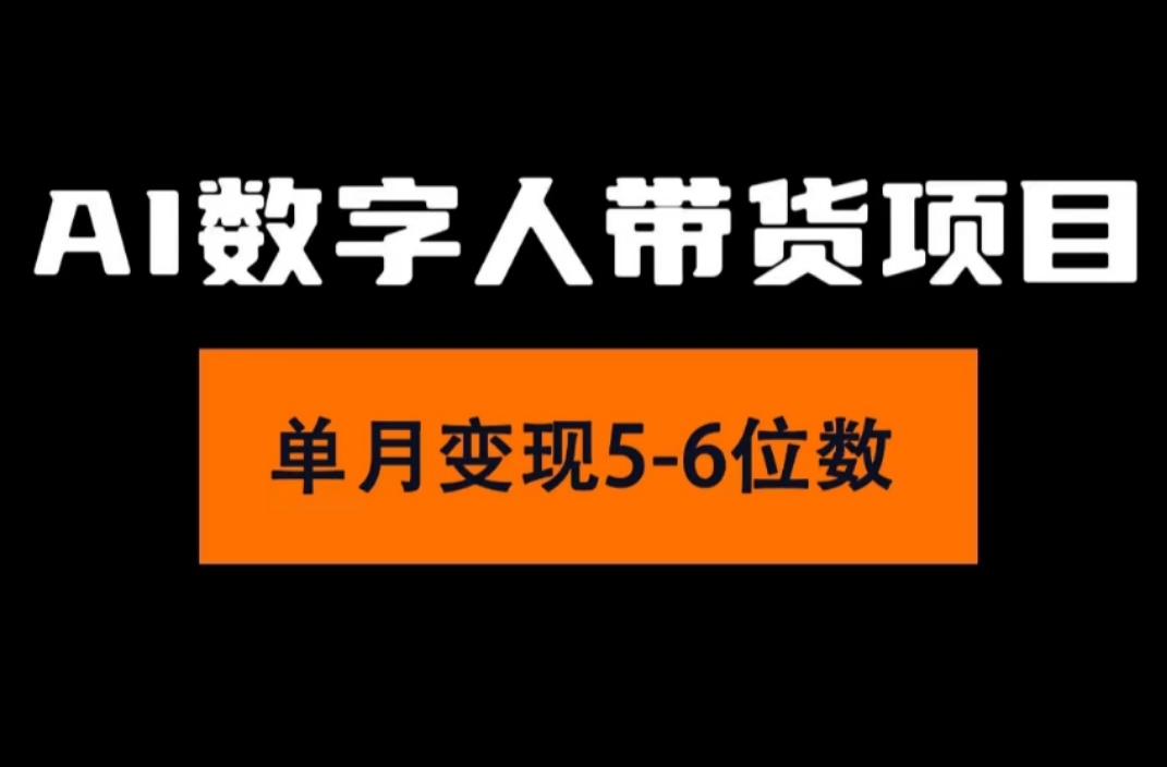 （11751期）2024年Ai数字人带货，小白就可以轻松上手，真正实现月入过万的项目-万三聊项目