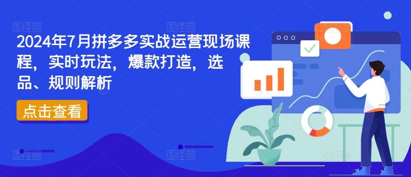 2024年7月拼多多实战运营现场课程，实时玩法，爆款打造，选品、规则解析-万三聊项目