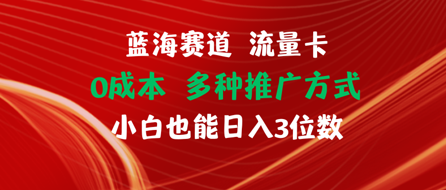 （11768期）蓝海赛道 流量卡 0成本 小白也能日入三位数-万三聊项目