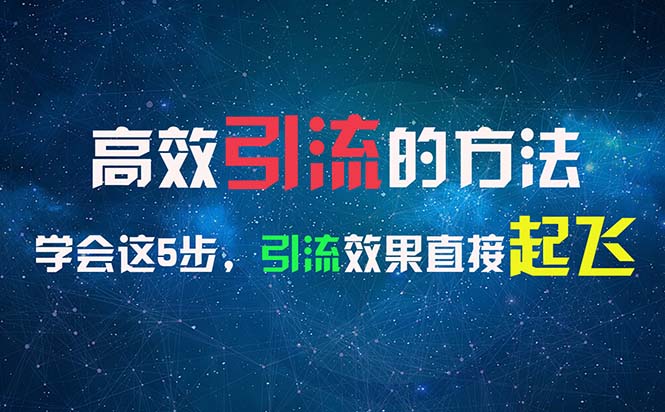 （11776期）高效引流的方法，可以帮助你日引300+创业粉，一年轻松收入30万，比打工强-万三聊项目