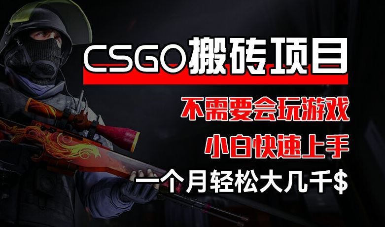 CSGO 装备搬砖项目，操作简单，不需要会玩游戏，小白也能快速上手，一个月轻松大几千【揭秘】-万三聊项目