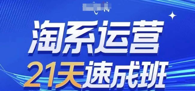 淘系运营21天速成班(更新24年7月)，0基础轻松搞定淘系运营，不做假把式-万三聊项目