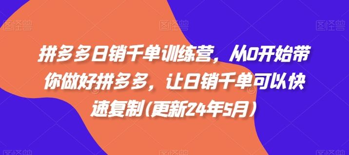 拼多多日销千单训练营，从0开始带你做好拼多多，让日销千单可以快速复制(更新24年7月)-万三聊项目